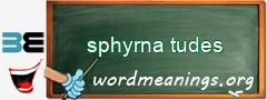 WordMeaning blackboard for sphyrna tudes